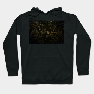 NUTS ABOUT BUTTERFLIES Hoodie